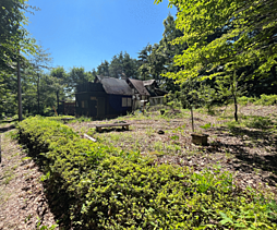 水のせせらぎとともに佇む、自然の中の小さな古屋付土地
