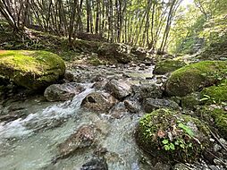 清流のせせらぎに癒される、約670坪の特別な場所。