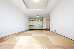 シャンボール康生