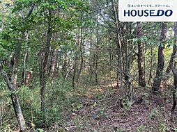 売土地　土山町野上野