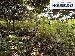 売土地 高島市マキノ町石庭