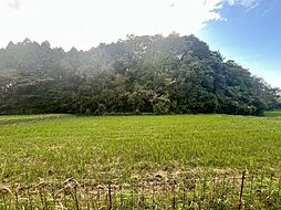 売土地 甲賀市甲南町稗谷