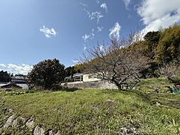 奈良市月ヶ瀬石打　売土地