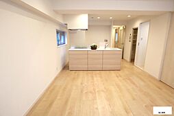 南篠崎スカイハイツA棟 116