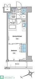 中野区本町１丁目