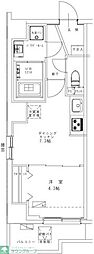 GENOVIA幡ヶ谷 703