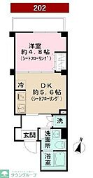 シャインピーチ 202