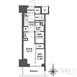 コンフォリア東新宿 0913