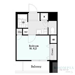 シンシア西早稲田 502