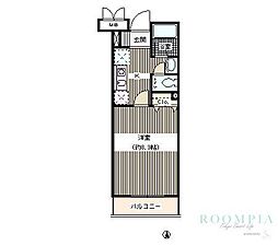 Ａｋｉｓ　Ｃｏｕｒｔ 104