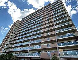 キャステージパーク4番街　11階部分