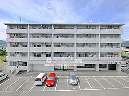 エクシートVI 401