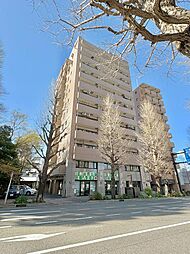 藤和シティホームズ西八王子 501