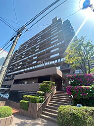 エバーグリーン上本町 206