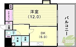 ステラコートIV