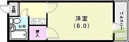シャインエイト