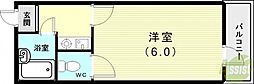 シャインエイト