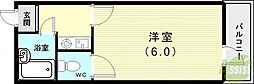 シャインエイト