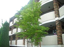 川崎市高津区溝口４丁目