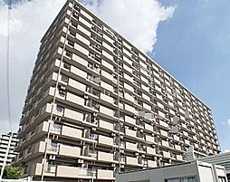 西岩田3丁目_シャトー第2八戸ノ里_八戸ノ里駅