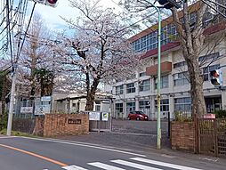 売土地 川口市道合　2号地/全2区画