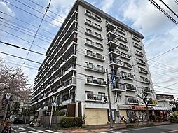 ハイストンハイツ