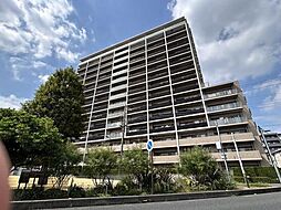 川口ティーブルー