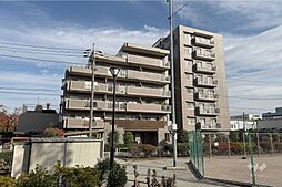 ライネスハイム志村