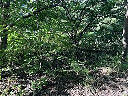 札幌市西区山の手