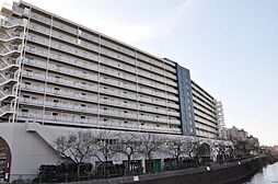 ボナハイツ星川