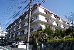 ライオンズマンション国際