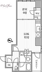 ディームス大手町ノース 501