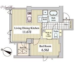 Ｃａｓａ Ａｌｂｏｒｅ 203