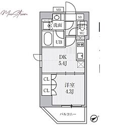 ＣＡＶＡＮＡ浅草橋 502