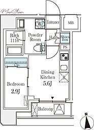 クラリティア文京湯島 202