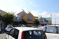 フォレスト林 310