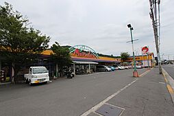 プライムガーデン 504