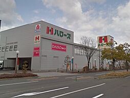 フリシュ・グランツ・Ｋ 205