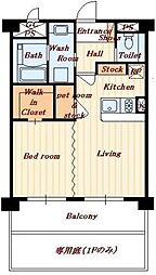 アルファフィオーレ勅使 103