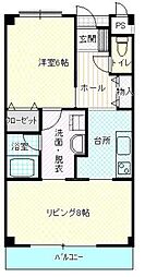 ティ・エム・ハイツII 203