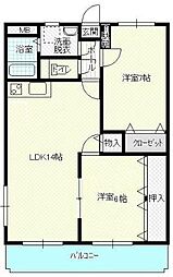 Ｍ．クラルテ 203