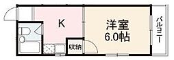 コート玉藻 503