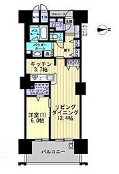 アルファステイツ南新町タワーレジデンス 904