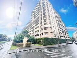 レイディアントシティ向ヶ丘遊園フランス街区