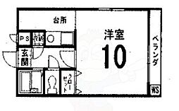ジュノー雅