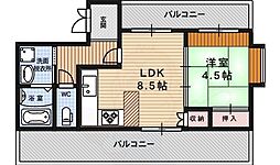 テイクスリー白梅 501
