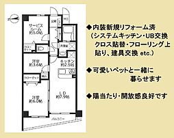 セザール第3梶ヶ谷