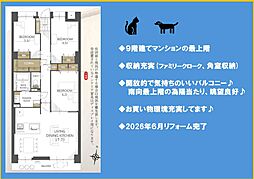 綱島ハイム 904