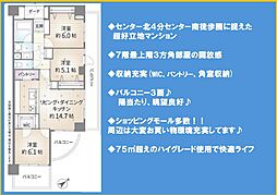 メイフェア・ミュゼ・レトワールセンター南駅前店 1103