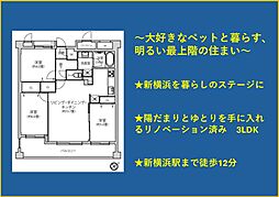 クレッセント新横浜ツインズウエスト